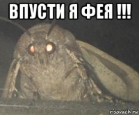 впусти я фея !!! 