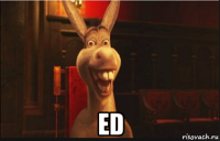  ed