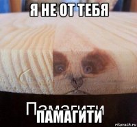 я не от тебя памагити