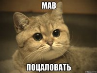 мав поцаловать