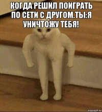 когда решил поиграть по сети с другом.ты:я уничтожу тебя! 