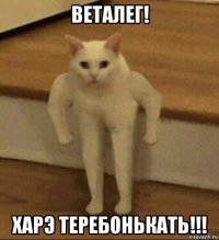 веталег! харэ теребонькать!!!