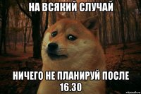 на всякий случай ничего не планируй после 16.30