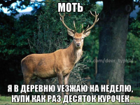 моть я в деревню уезжаю на неделю, купи как раз десяток курочек