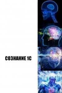   СОЗНАНИЕ 1С 