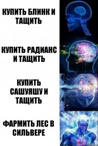 купить блинк и тащить купить радианс и тащить купить сашуяшу и тащить фармить лес в сильвере