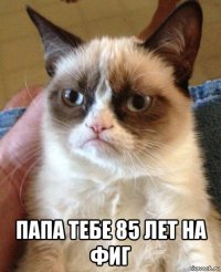  папа тебе 85 лет на фиг