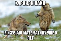 хурикэн пайк я изучаю математику уже 0 лет