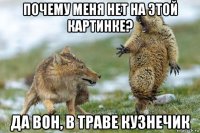 почему меня нет на этой картинке? да вон, в траве кузнечик