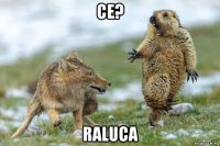 ce? raluca