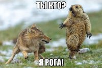 ты кто? я рога!