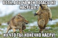 волк, а ты на мои попасы не насрёшь? ну что ты, конечно насру!