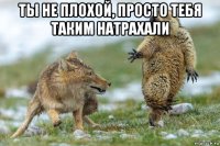 ты не плохой, просто тебя таким натрахали 