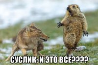  суслик: и это всё????