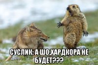  суслик: а шо,хардкора не будет???