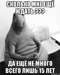 сколько мне ещё ждать ??? да ещё не много всего лишь 15 лет