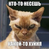 Кто-то несешь Какой-то хуйня