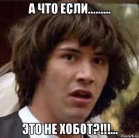 а что если......... это не хобот?!!!...