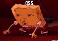 css 