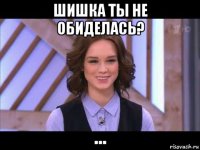 шишка ты не обиделась? ...