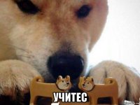  учитес