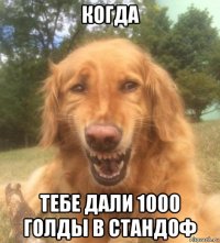 когда тебе дали 1000 голды в стандоф