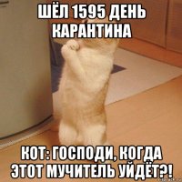 шёл 1595 день карантина кот: господи, когда этот мучитель уйдёт?!