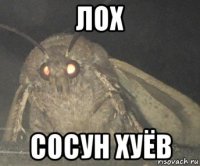 лох сосун хуёв