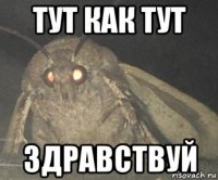 тут как тут здравствуй