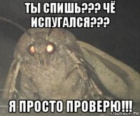 ты спишь??? чё испугался??? я просто проверю!!!