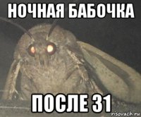 ночная бабочка после 31