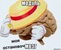 модуль мозг