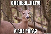 олень:а…нету! а где рога?