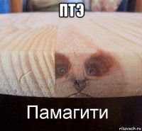 птэ 