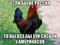 если бы не россия то вы все бы хуй сосали у америкосов