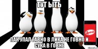 тут ыть пак упал гавно в лика не говно и сука в говне