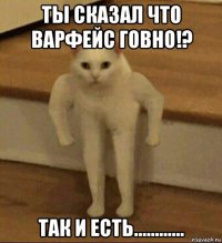 ты сказал что варфейс говно!? так и есть............