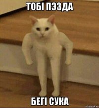 тобi пэзда бегi сука