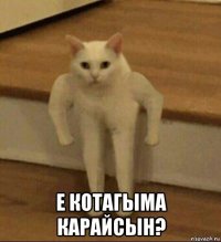  е котагыма карайсын?