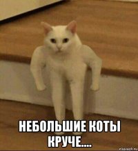  небольшие коты круче....