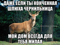 даже если ты конченная шлюха чернильница мой дом всегда для тебя милая