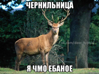 чернильница я чмо ебаное