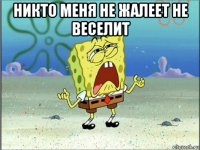 никто меня не жалеет не веселит 