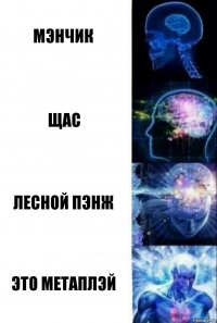 мэнчик щас лесной пэнж это метаплэй