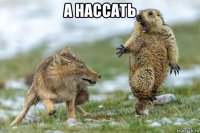 а нассать 