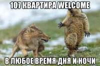 107 квартира welcome в любое время дня и ночи