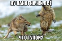 ну панятна жи всё что тупой?