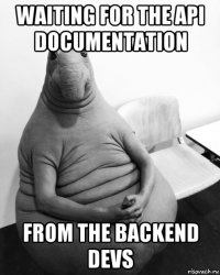 waiting for the api documentation from the backend devs