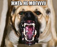 жить не могуууу 