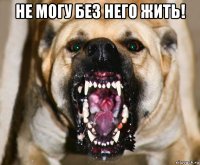 не могу без него жить! 